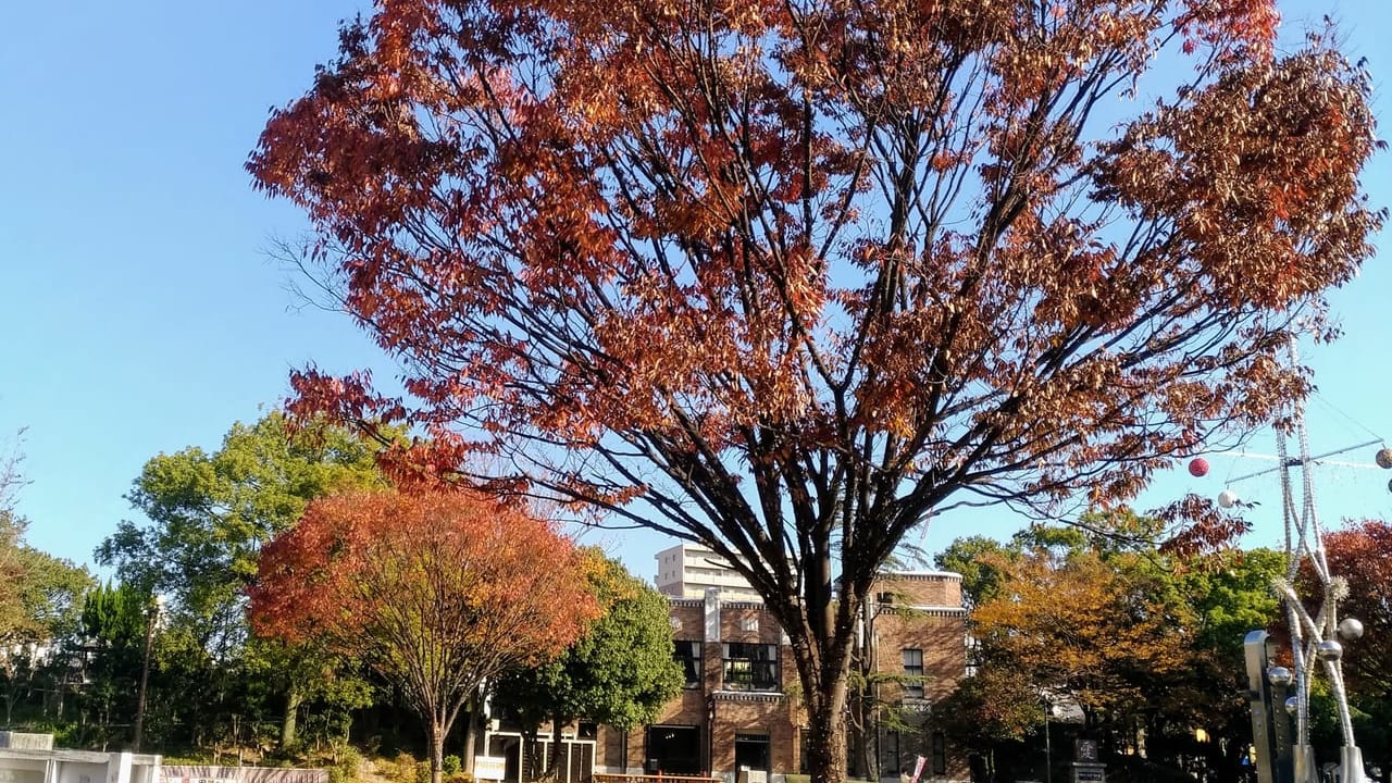 諏訪公園の紅葉