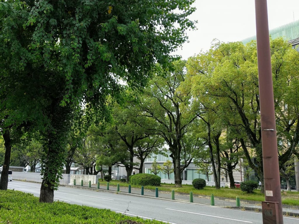 中央通り　四日市