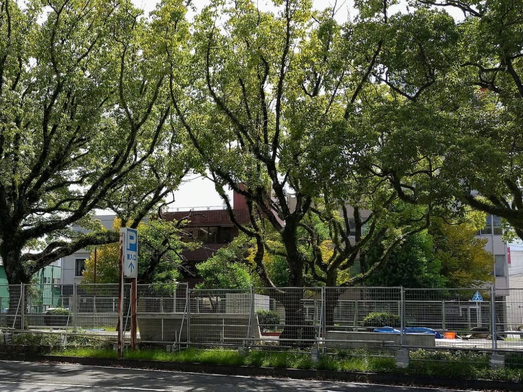 中央通り　四日市