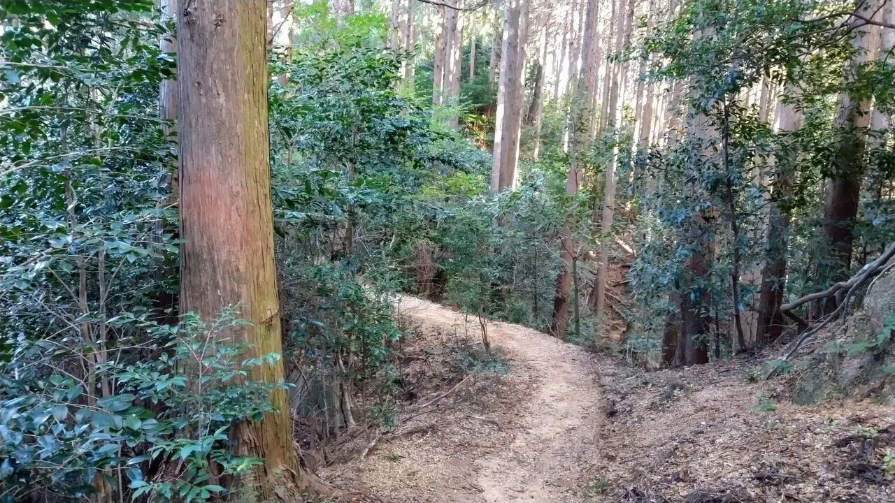 菰野富士