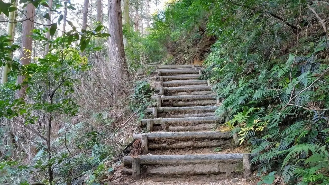 菰野富士