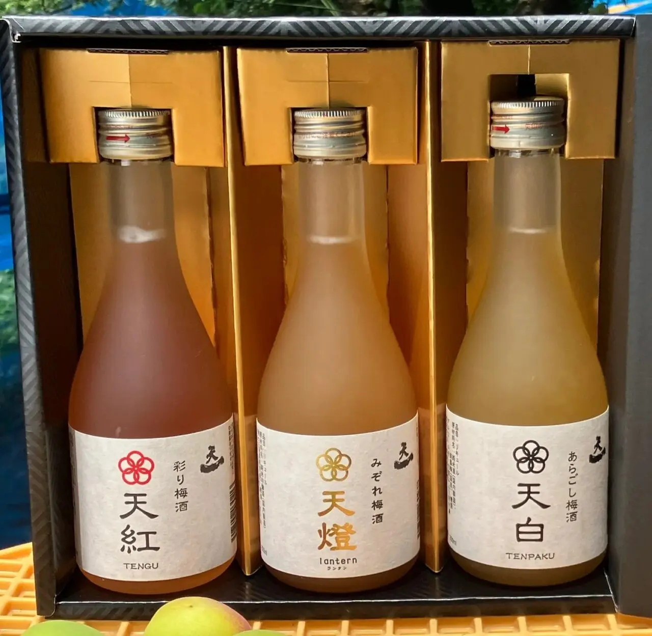 早川酒造部