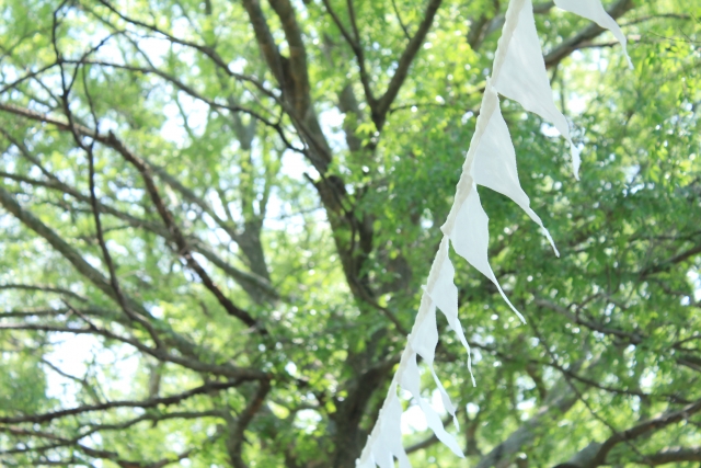 マルシェ イメージ