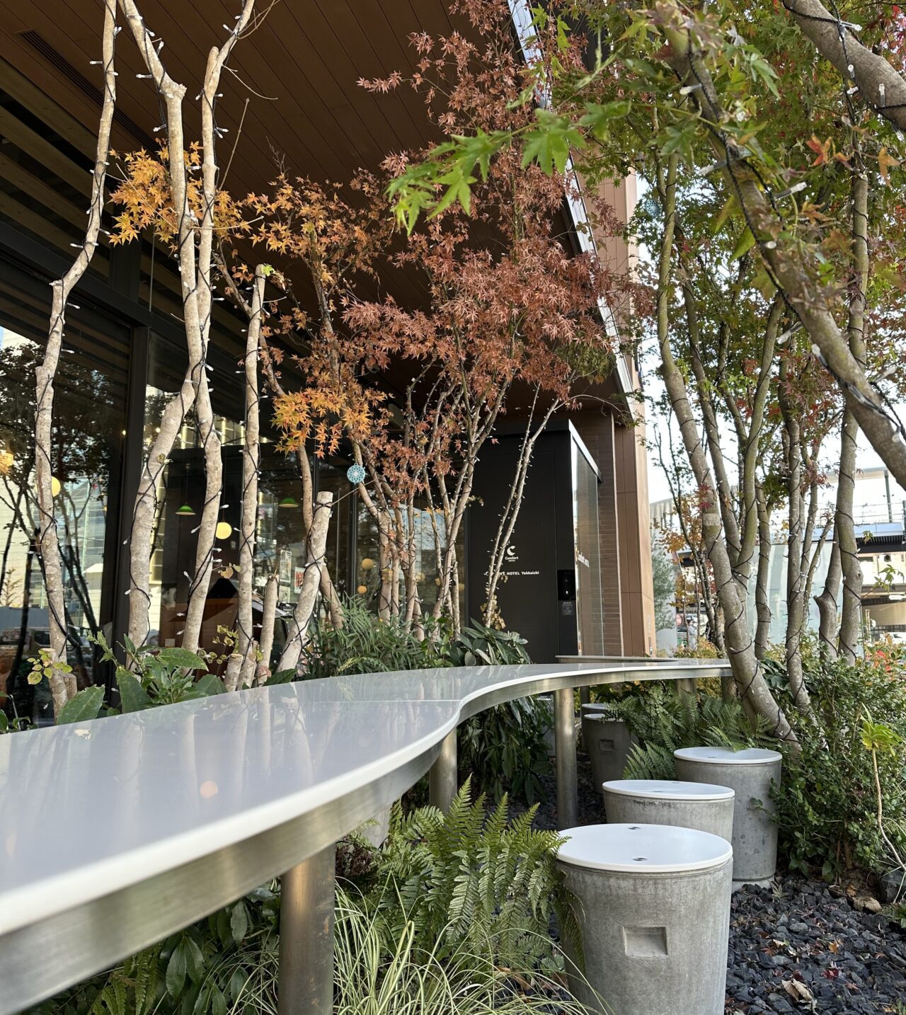 グリーンズ イルミネーション