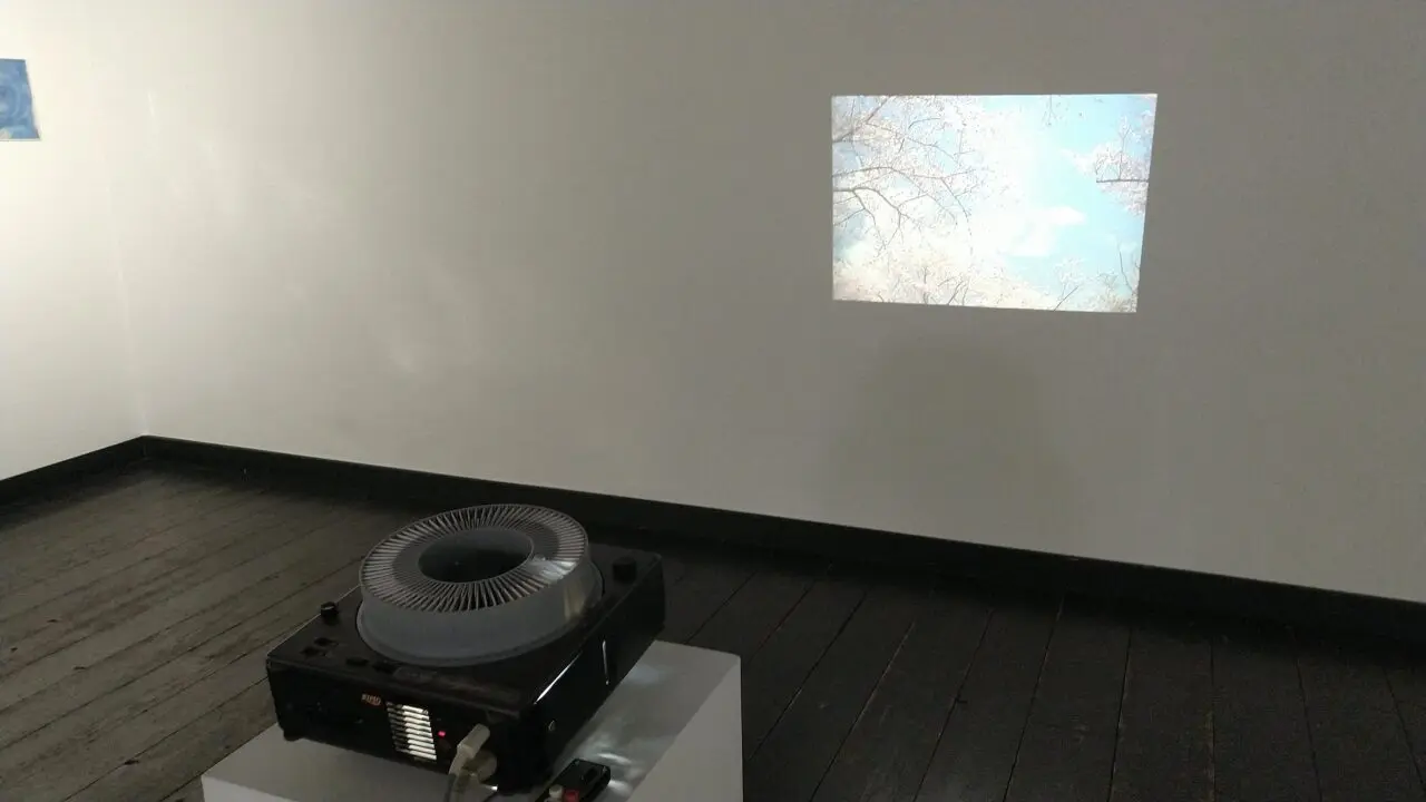 おやまだ文化の森