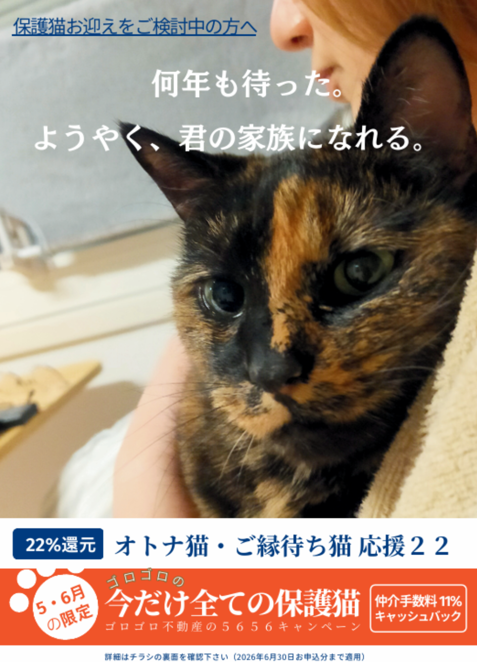 ゴロゴロ不動産