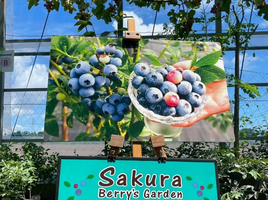 さくらベリーズガーデン